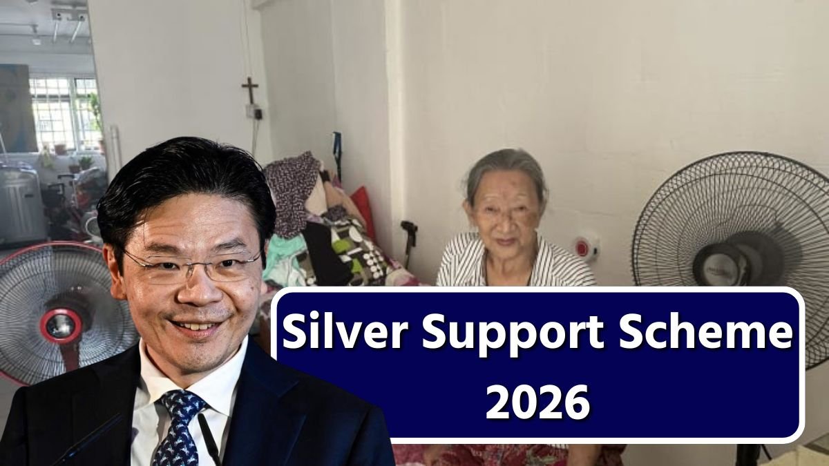 Silver Support Scheme 2026 (1)